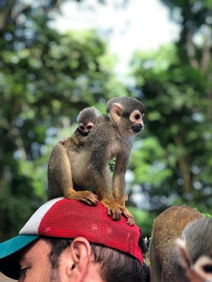 Hotel Yurupary Amazonas Leticia Exteriör bild